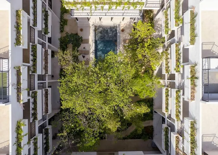 Amazing And New 2 Bedroom La Veleta